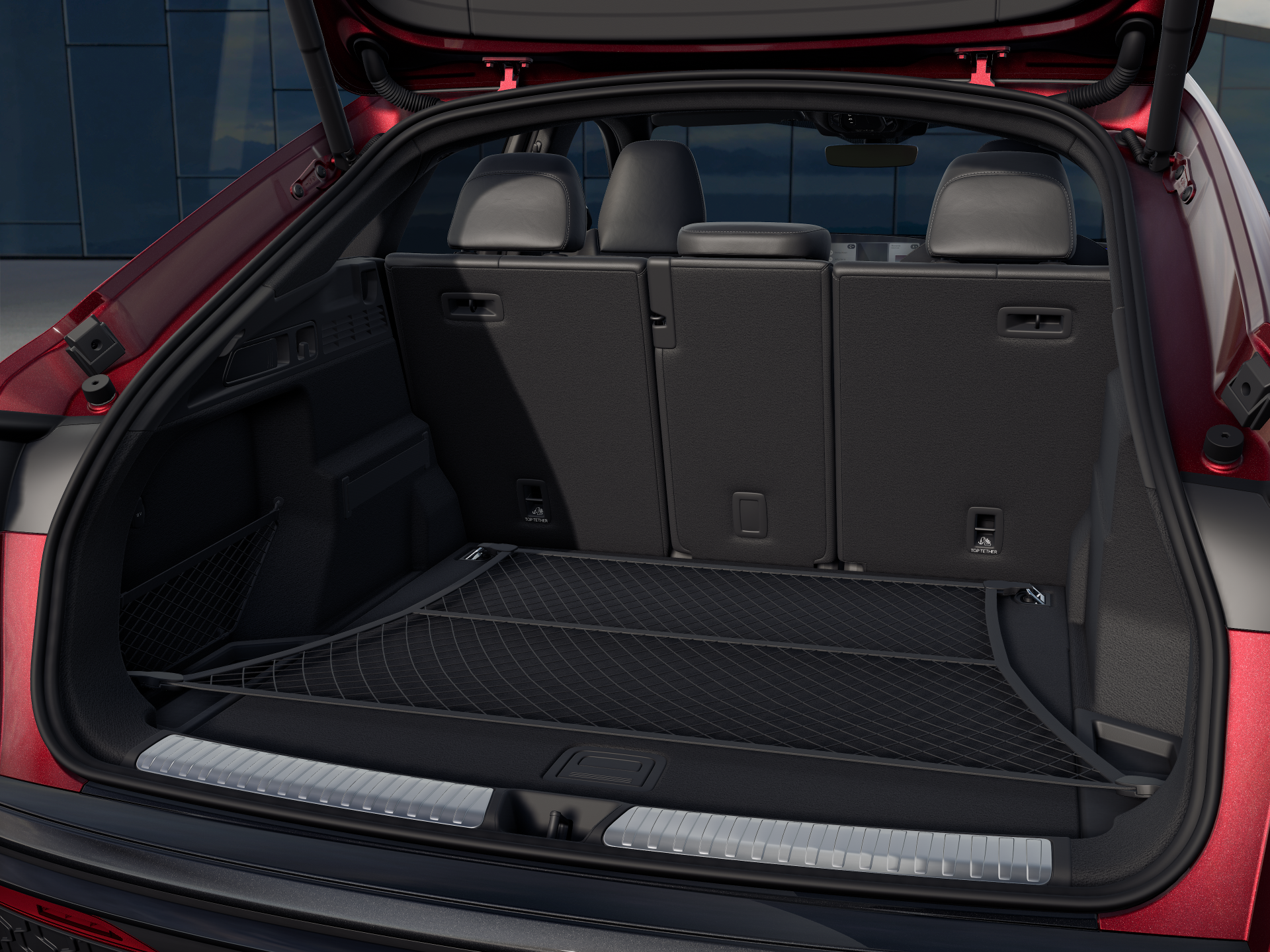 trunk